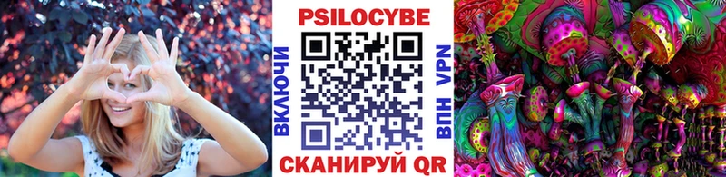 кракен вход  цена наркотик  Озёры  Псилоцибиновые грибы Magic Shrooms 